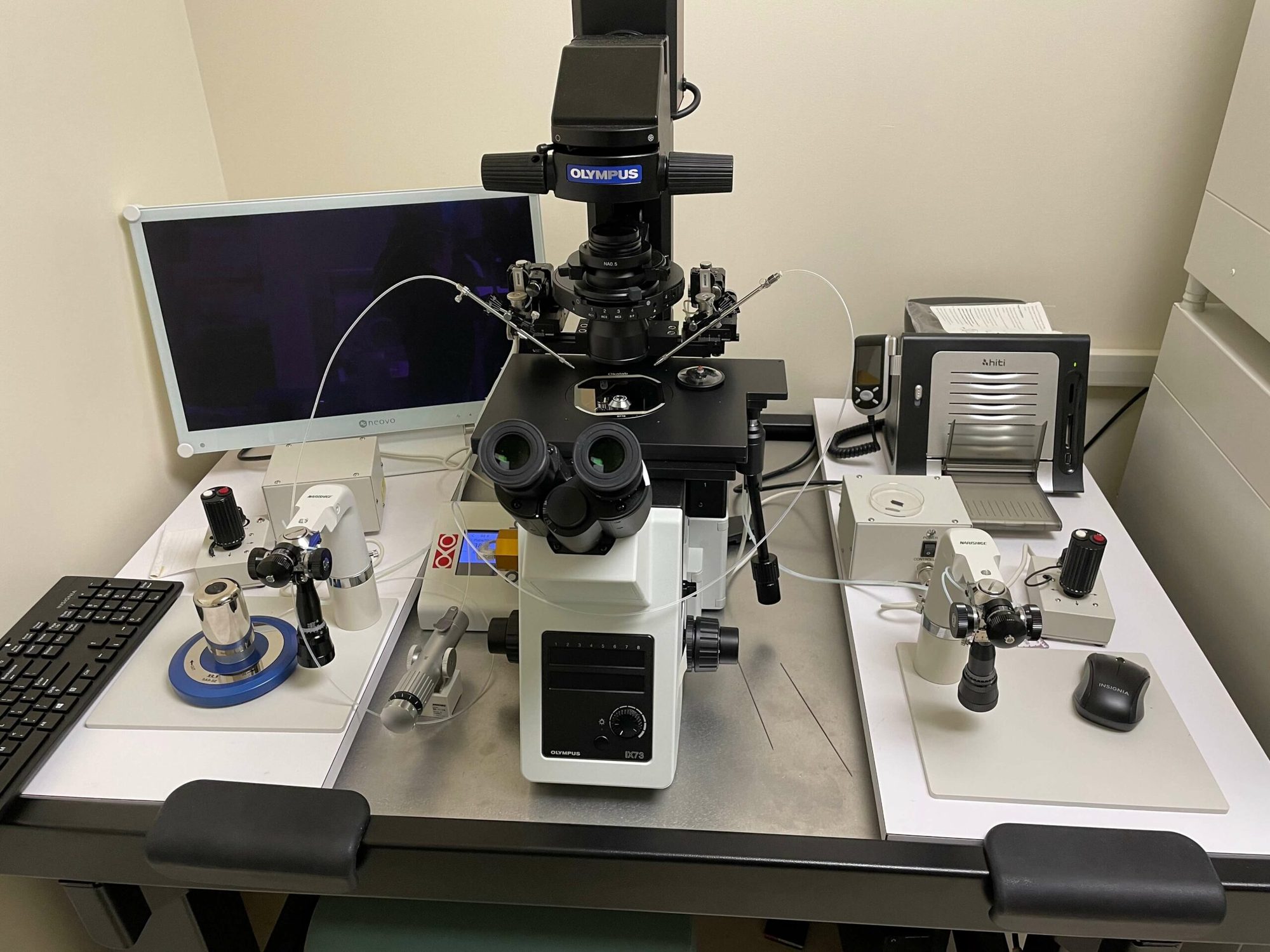 Fertility & IVF in Türkiye with Turquaz Health